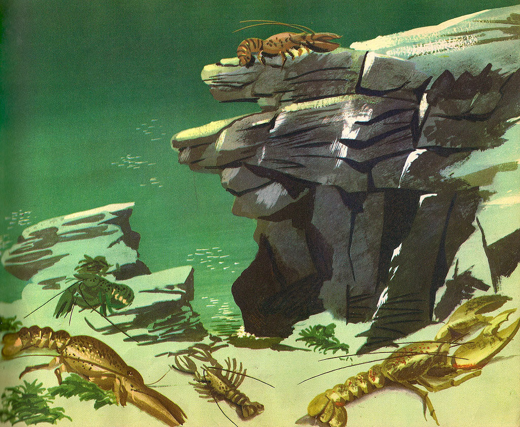 5536426226_17248e7c6a_b