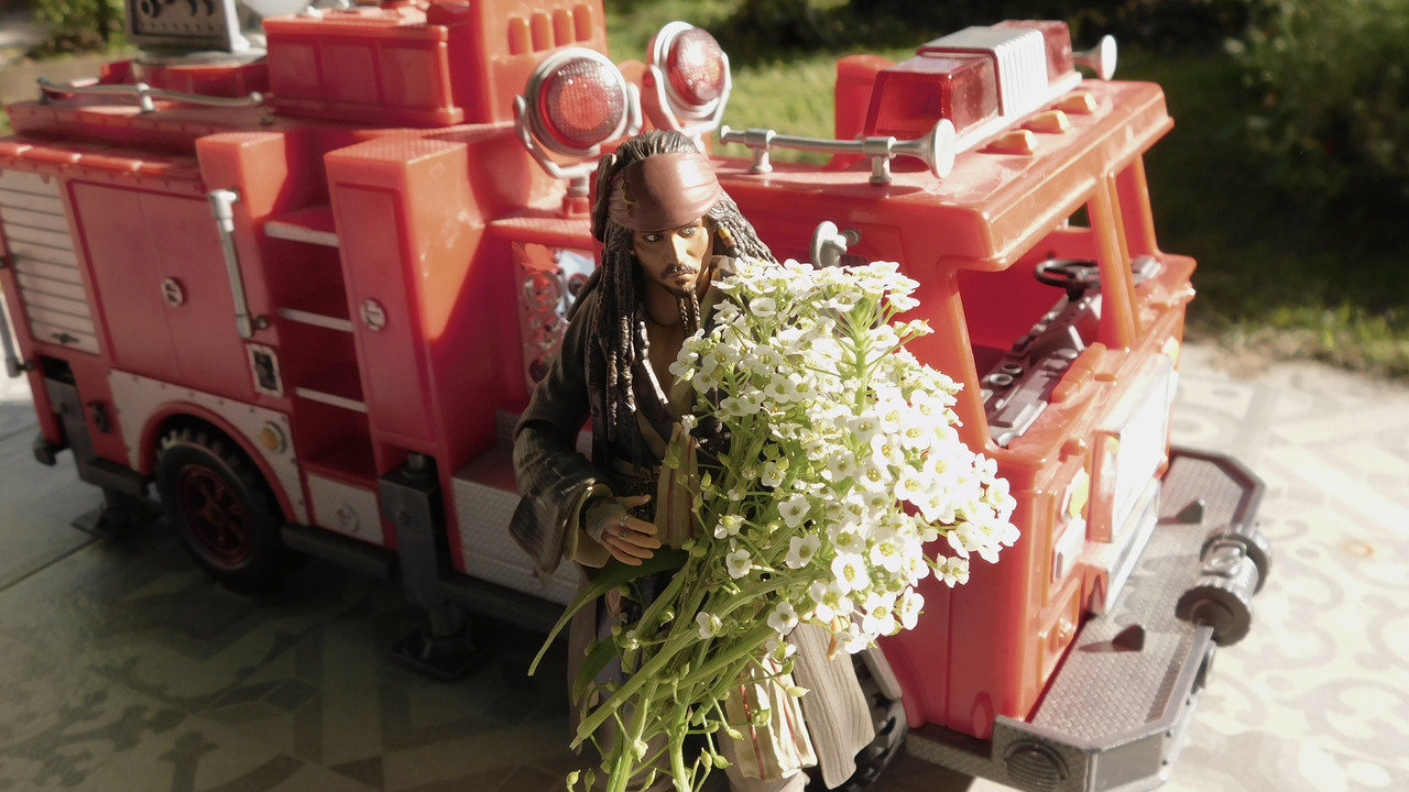 Август дачный кукольный 2023 414