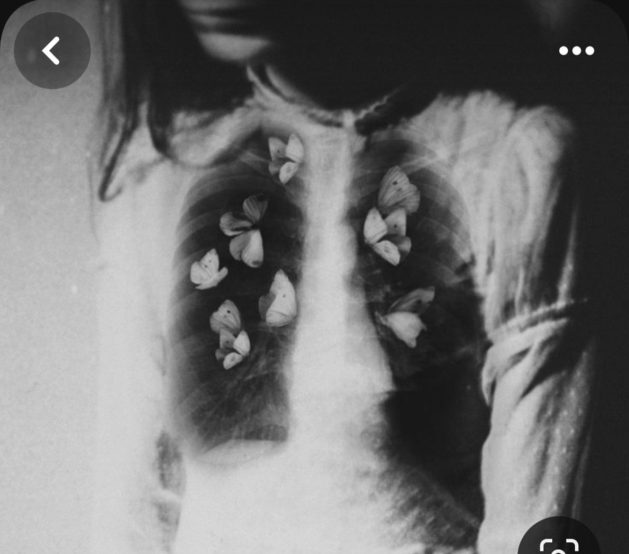 Screenshot_20231119_213930_Pinterest