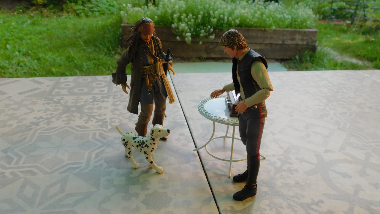 Дачно-Харлинский июнь-июль 2024 112