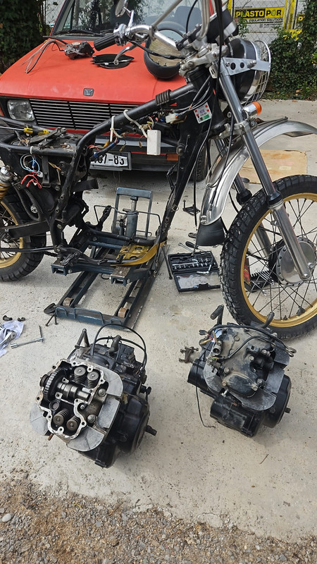 Whats App Image 2026 04 11 at 11 43 05