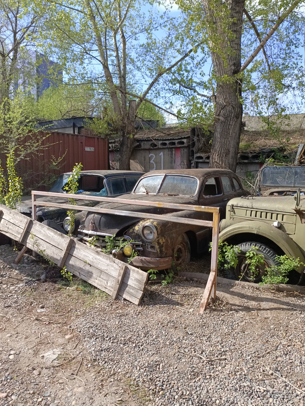 IMG_20240517_161642_314