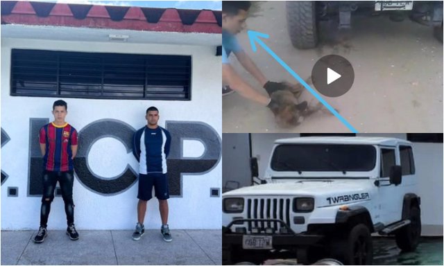 Psicópatas asesinos Psicópatas asesinos