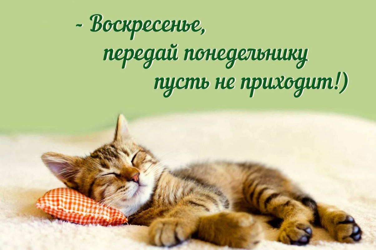 IMG_20230910_114550_092