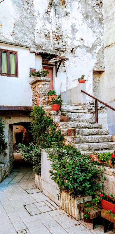 IMG_20220730_194146 (2)