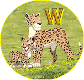 Serie Flia: Madre e Hijo, Los leopardos W