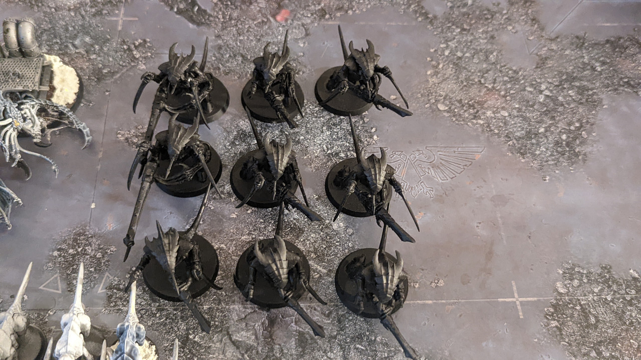 PXL 20260206 183248404