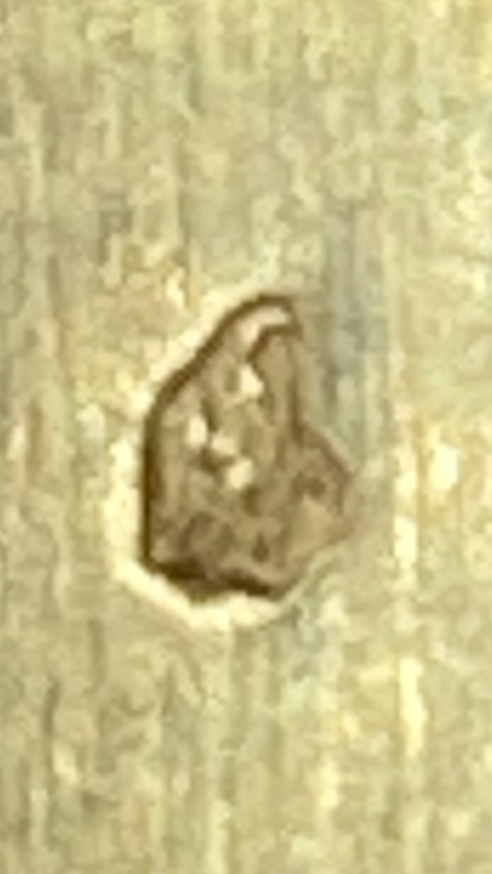 32267458-28ED-4D47-9673-EF34CB727AD4