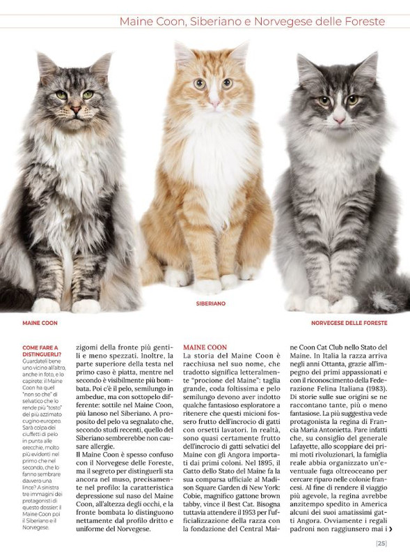 Ga Ma Dic 2021-Gen 2022 (4)