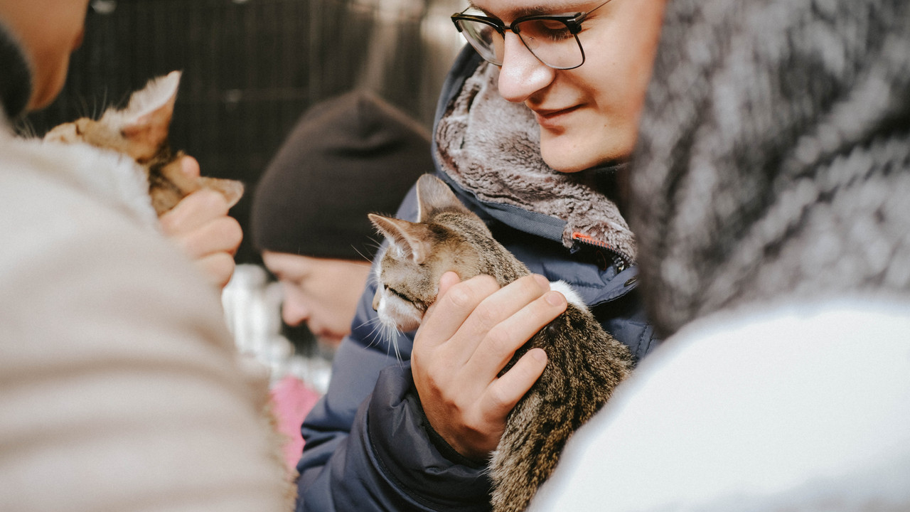 D90D1F6A-C9FF-4778-8796-DDDFDBD7D532