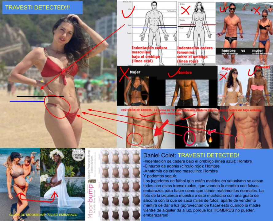 daniela-colet-travesti-65yg45u4rh.jpg