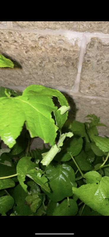 8F3E72A7-C19D-46FA-87E1-F3E7AED0D79A