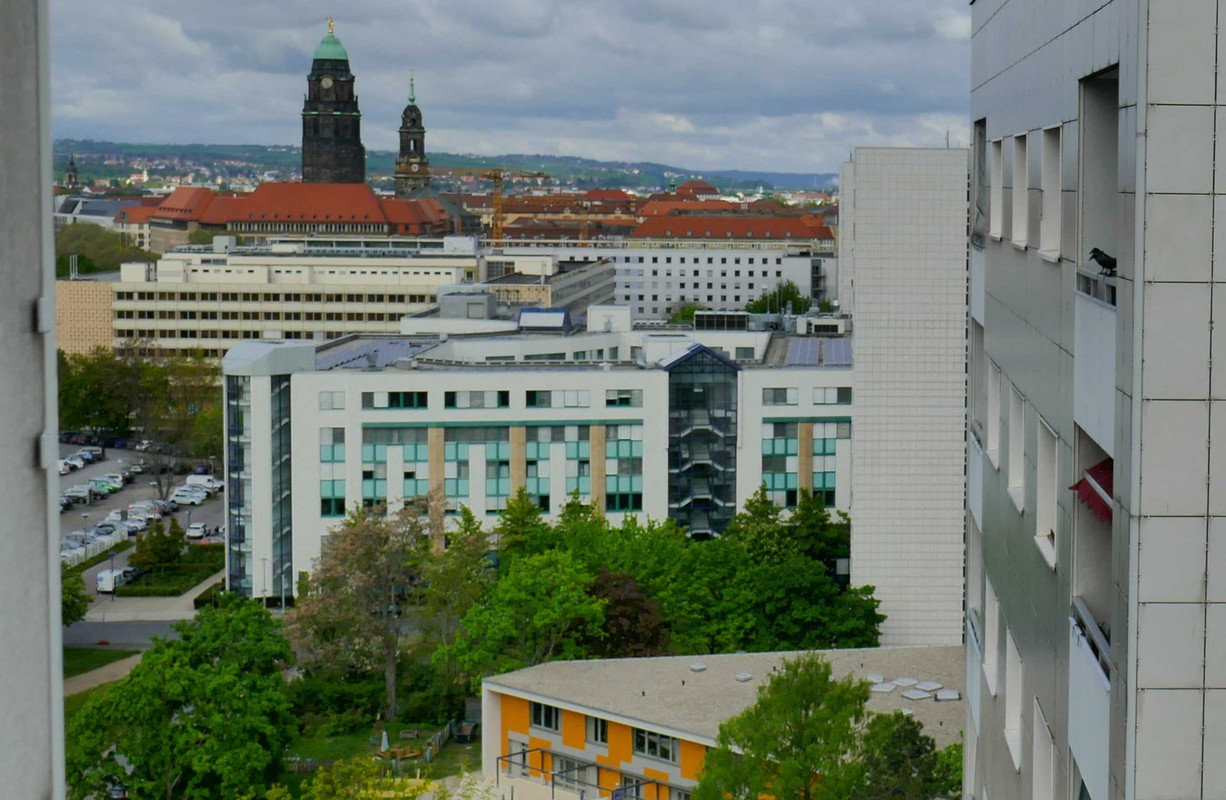 Bild: https://i.postimg.cc/sxg3ZQvS/P1190627.jpg