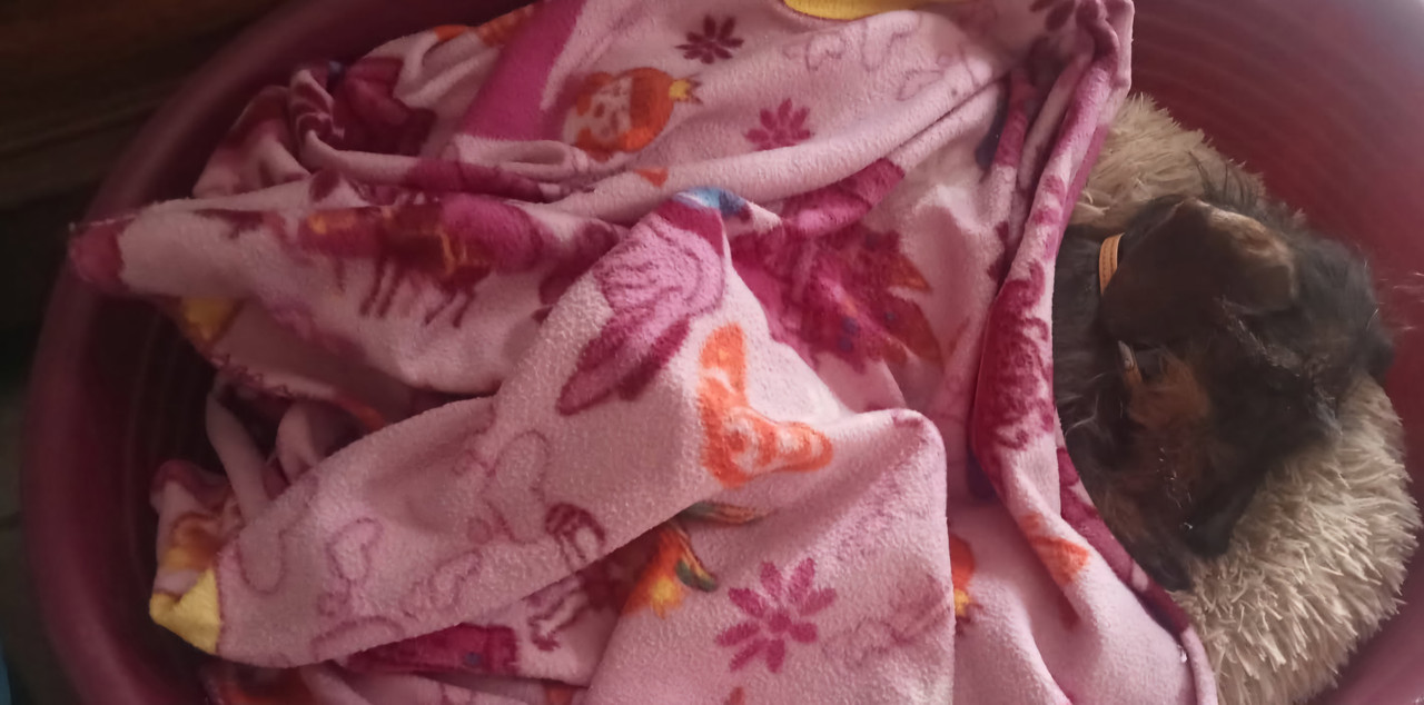 [Image: IMG-20250509-102559.jpg]