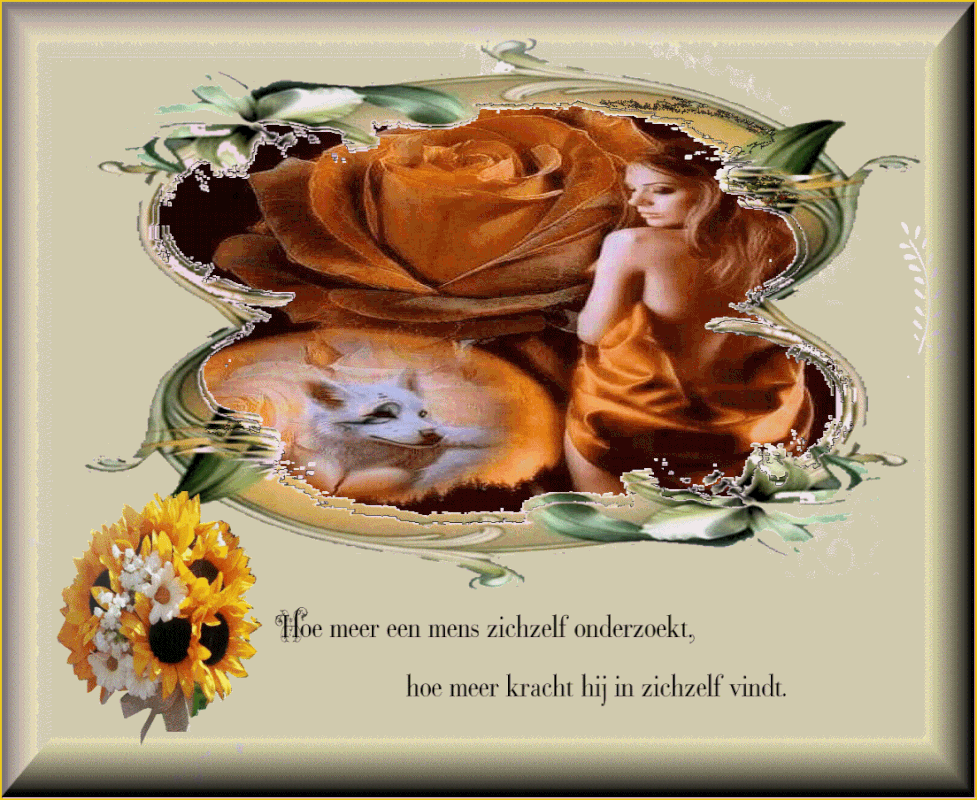 middenplaatje-4-juli-2021