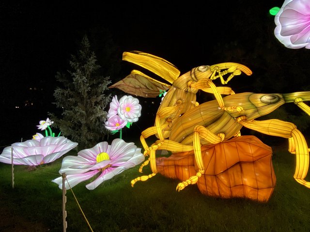 [Image: 624-F7590-CFF8-47-FF-8391-DE2015-C45-CF5.jpg]