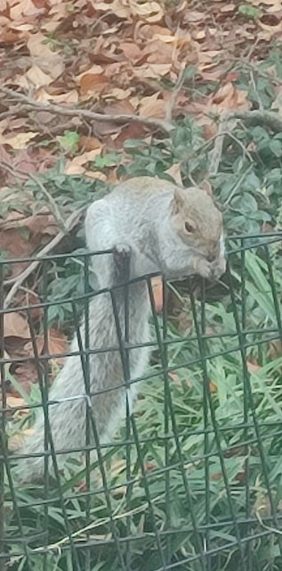 Vista icónica en Dumbo, bicis Central Park, Museo Historia y Little Italy - Nueva York y Cataratas del Niágara 2023 (18)
