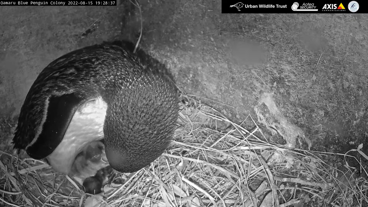 _10-7-32 screenshot (1)