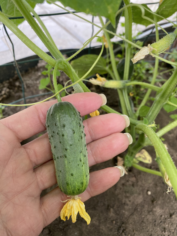 D3F0FD7E-7FD2-42C2-B8BA-070B402425E4