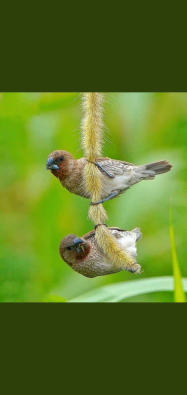 Screenshot_٢٠٢١٠٥٠٢-٠٣٥٣٤٧