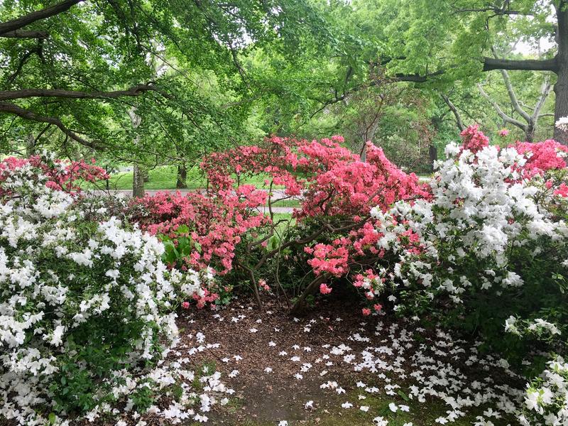 037DA6BB-FE0D-4594-904B-82F891939A1B