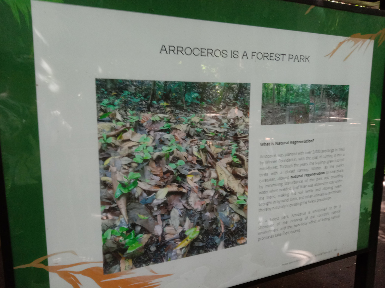 Arroceros Forest Park Manila Bagras20260715 142134