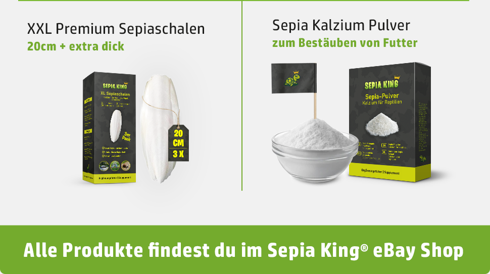 Vorteile von Sepiaschalen von Sepia King auf einen Blick