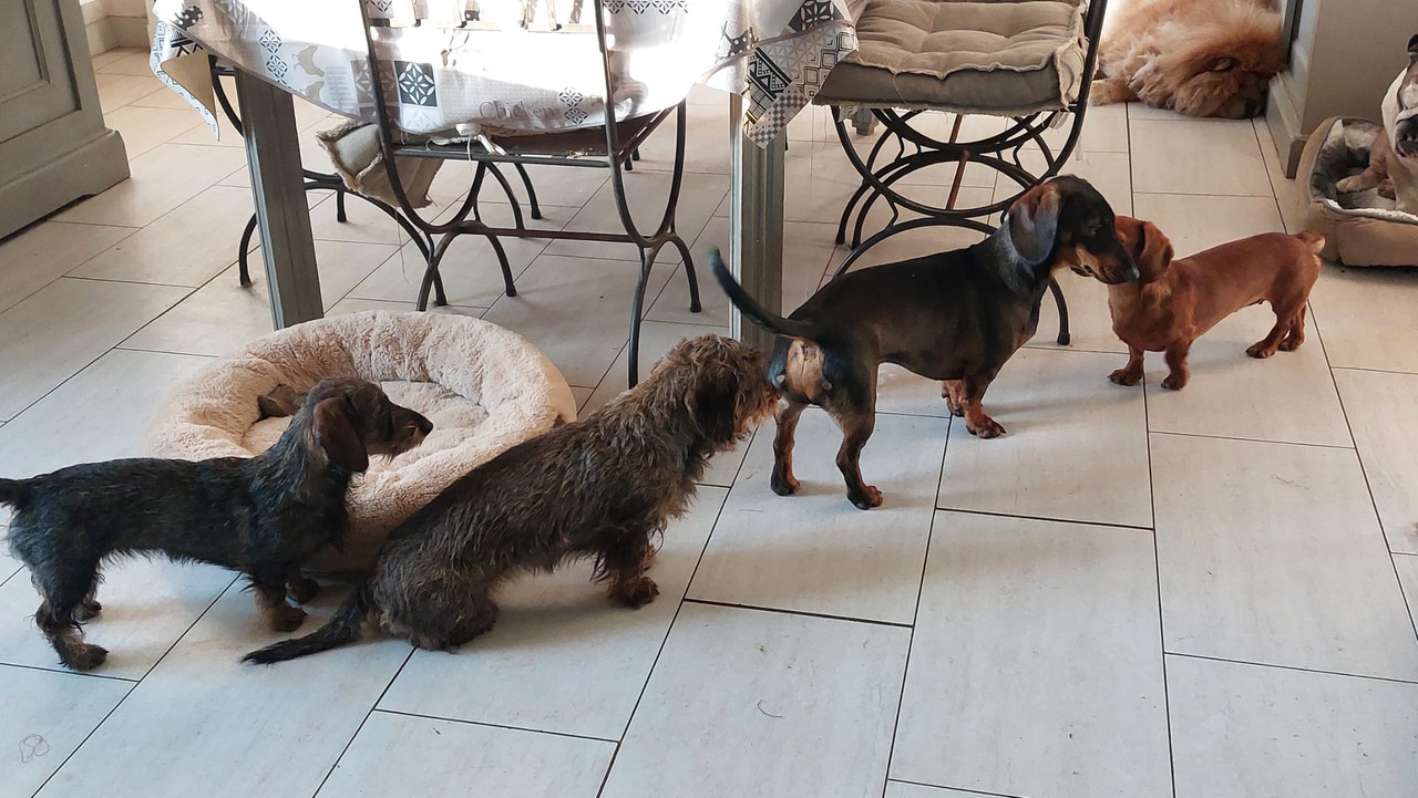 [Image: IMG-20250523-WA0004.jpg]