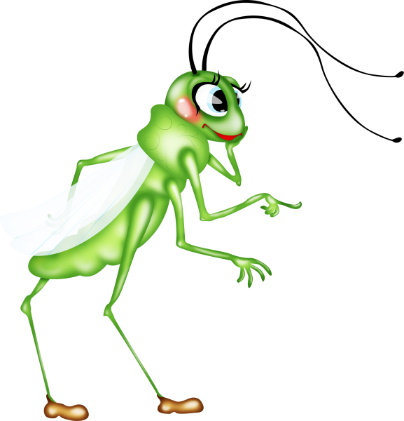 Beetle dance62