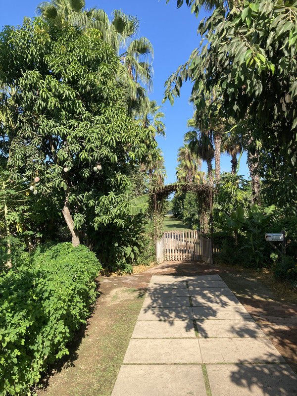 D6DF0C2A-A619-40A1-B52D-092C9BBF09C7