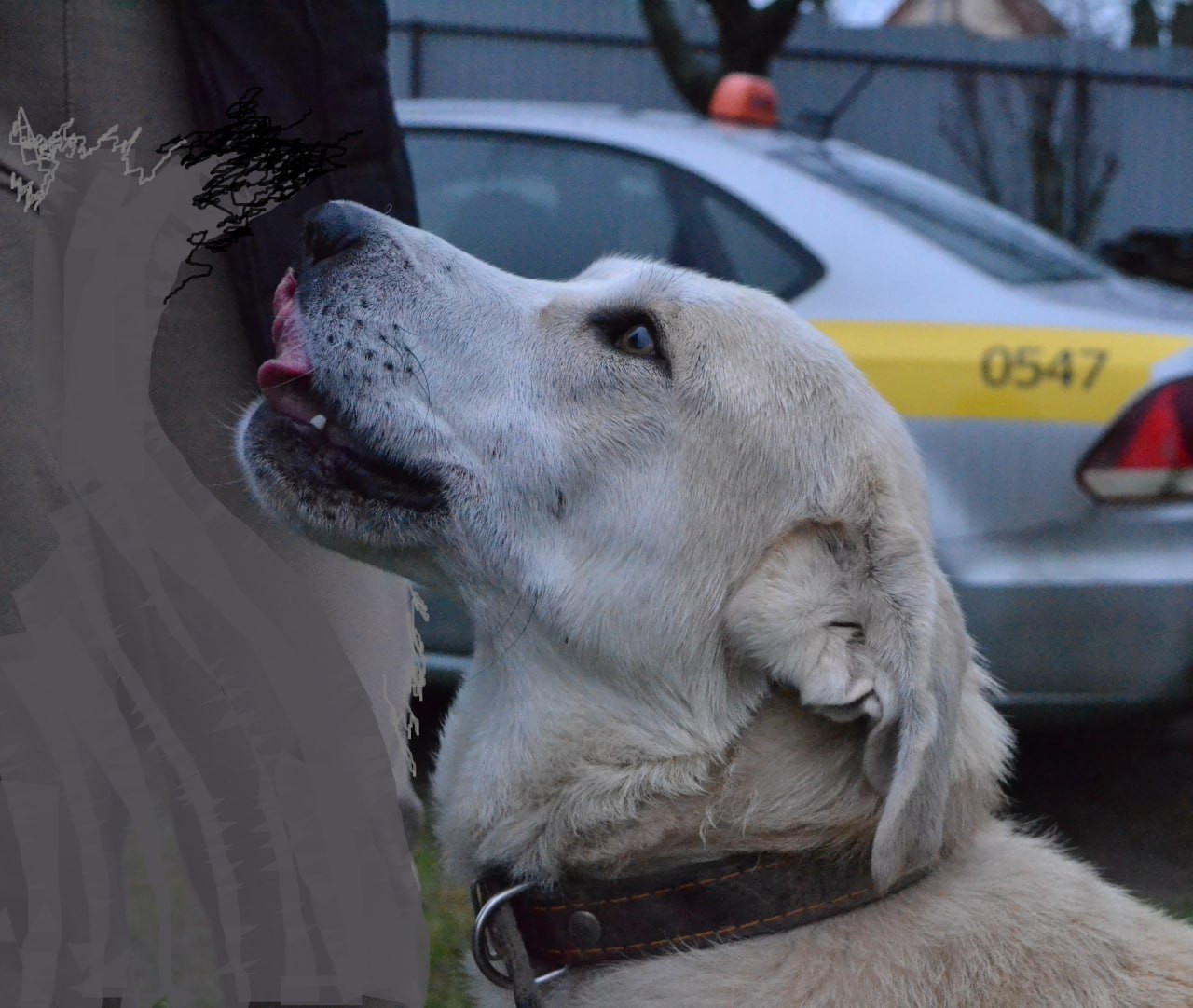 photo 2026 01 07 16 13 44