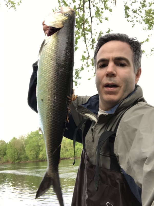 4E1D960E-DDF5-4150-A6A9-3502667CBDE6