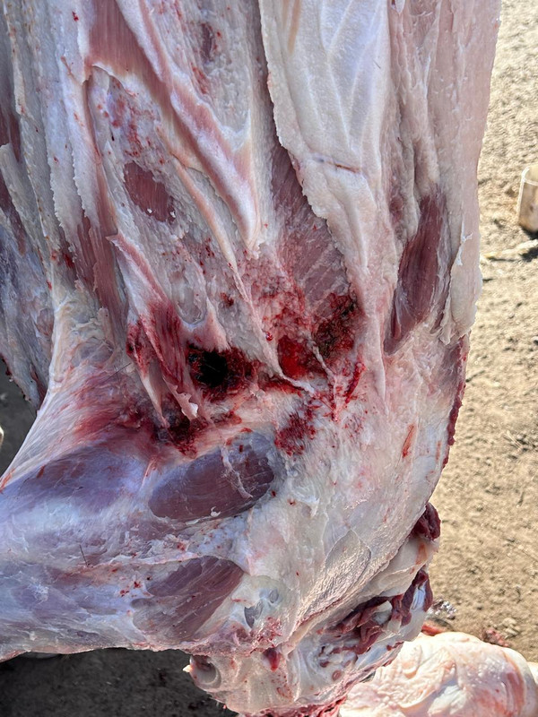 WhatsApp Image 2024-08-02 at 12.29.04 (3)