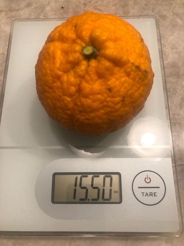 3CF8FCE9-BE29-4B0D-81A9-FA78006F8DAD_1_105_c