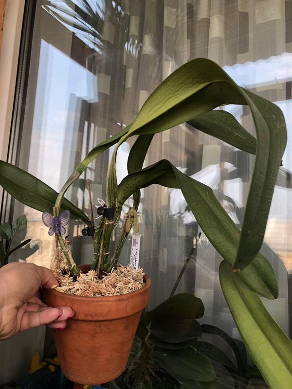 69DF2900-B57F-4A7E-9139-E53D234FE6B2