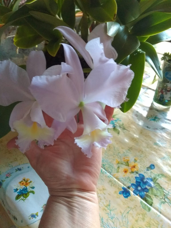 b02d5110-cc54-4c9d-ab17-665557f26e5c