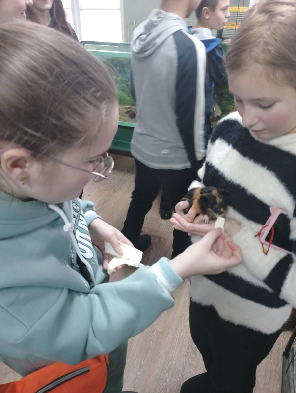 изображение_viber_2024-02-06_10-38-48-421