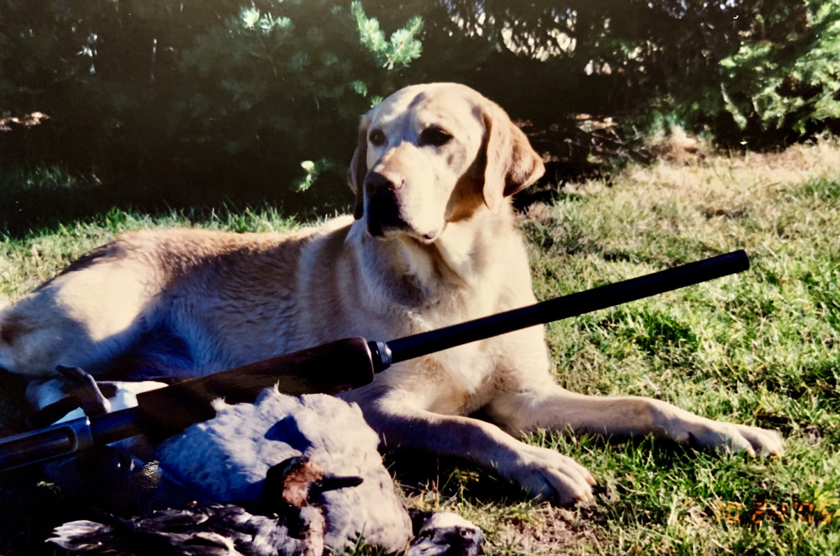 1E868CB5-D03B-4262-BE5B-60D3A2AB0EBA