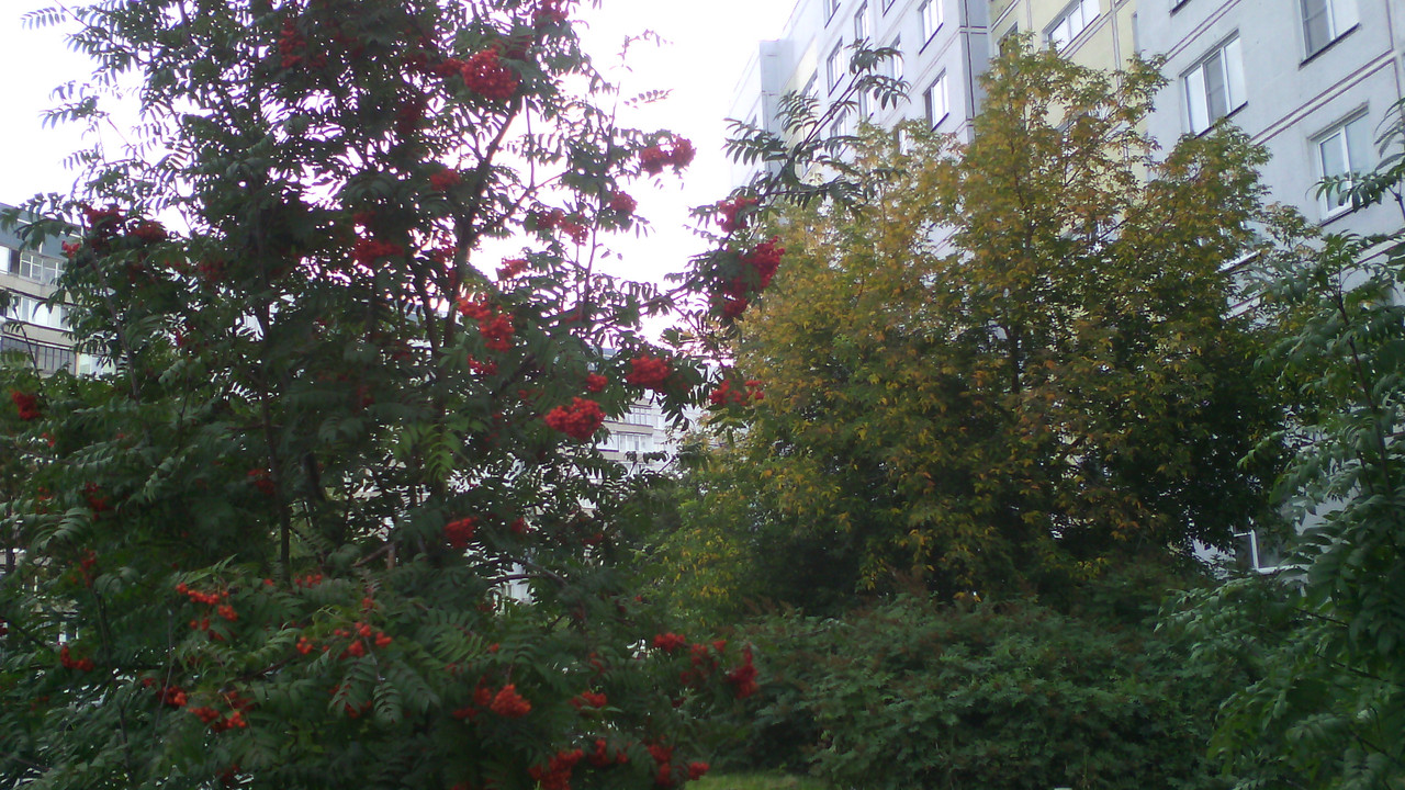 IMG 20190910 081948 — Postimages
