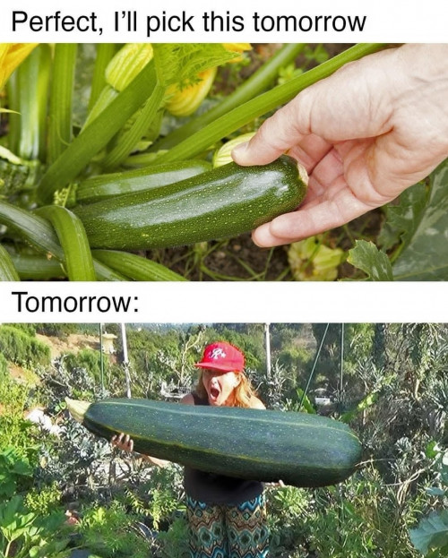 thumbs-picdump894-044.jpg