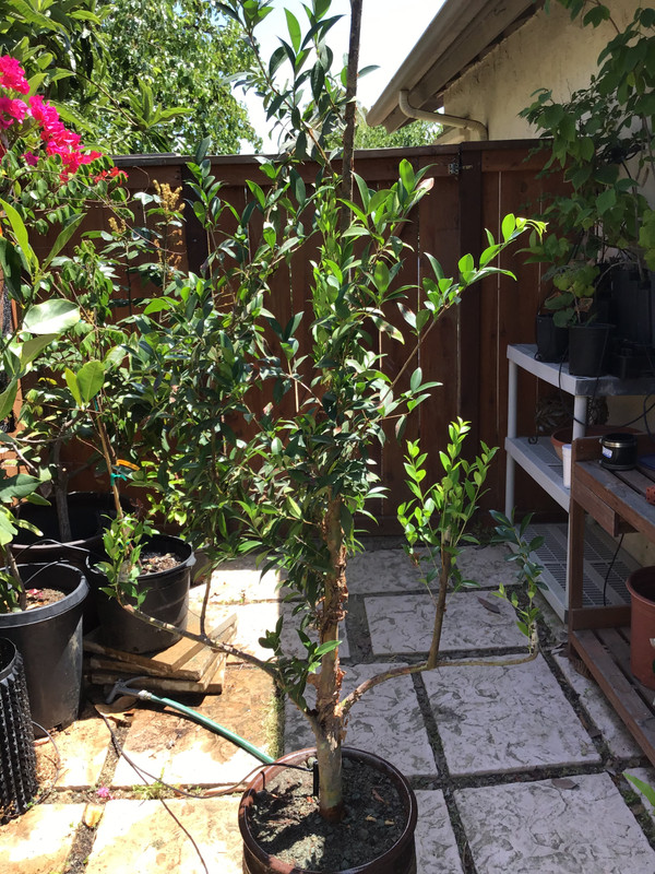 9F3AE249-1217-4F12-8C08-8835302F6905