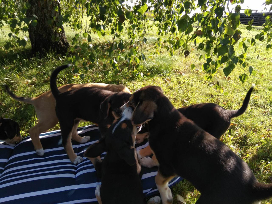 изображение_viber_2019-08-24_17-15-32