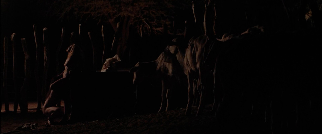 The.Neon.Bull.00_07_21_04.Still045