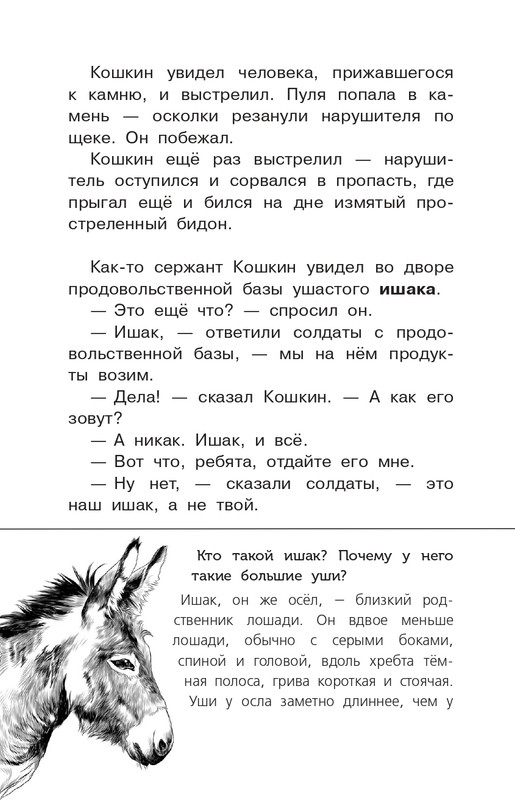 Koval-Jurij-Alyj-page-0113