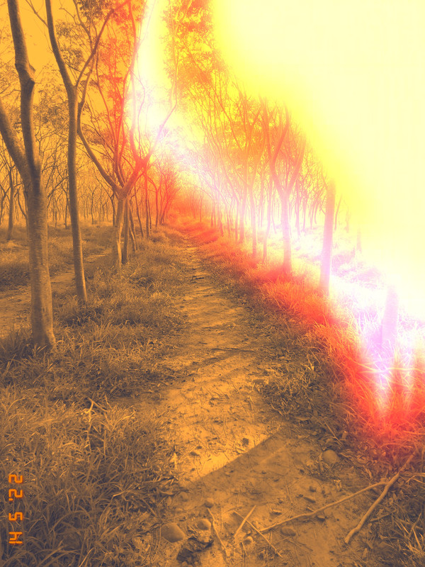 VAPORGRAM1652529673819.jpg