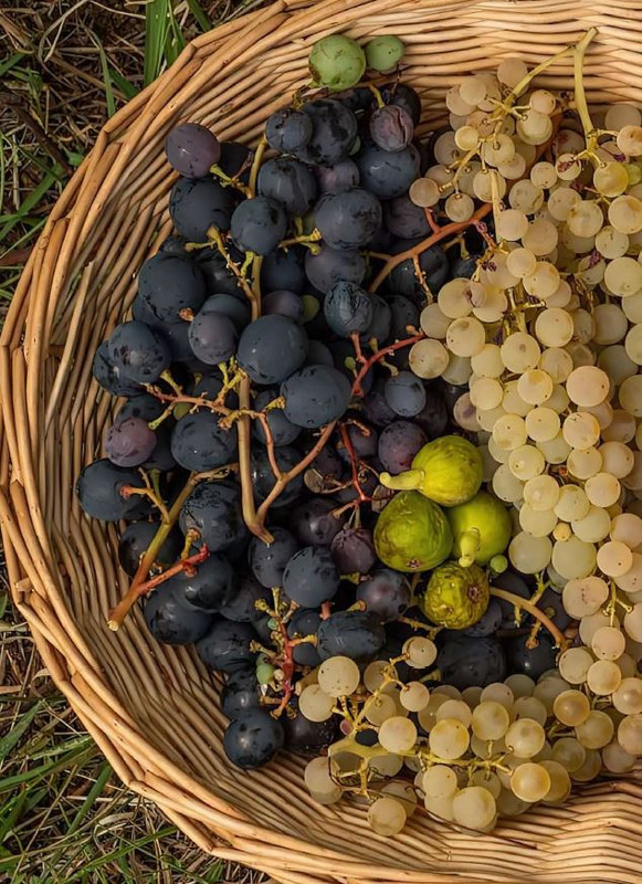 Cucina Dietetica Speciale Gen Mar 2026 (7)