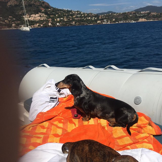 [Image: IMG-20210508-WA0006.jpg]