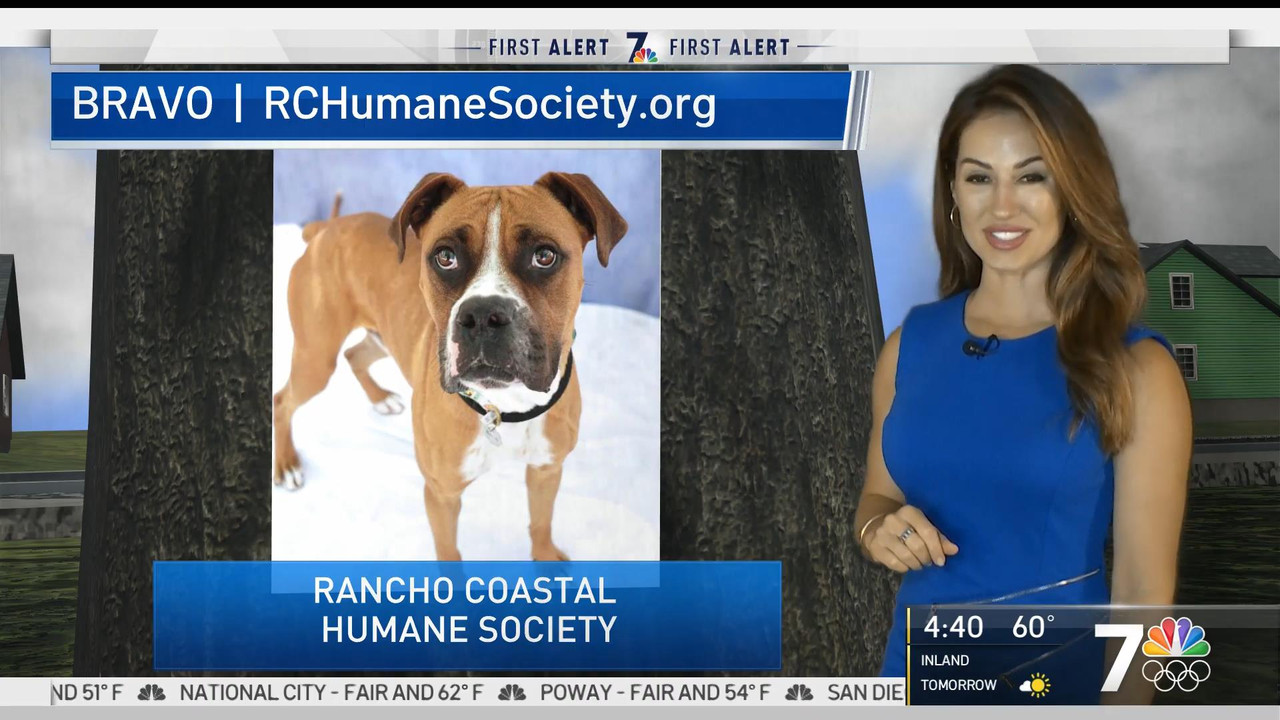 06.04 - 12.30.00 - NBC 7 News Today. Local news, sports and weather.ts_snapshot_16.18_[2021.06.04_17
