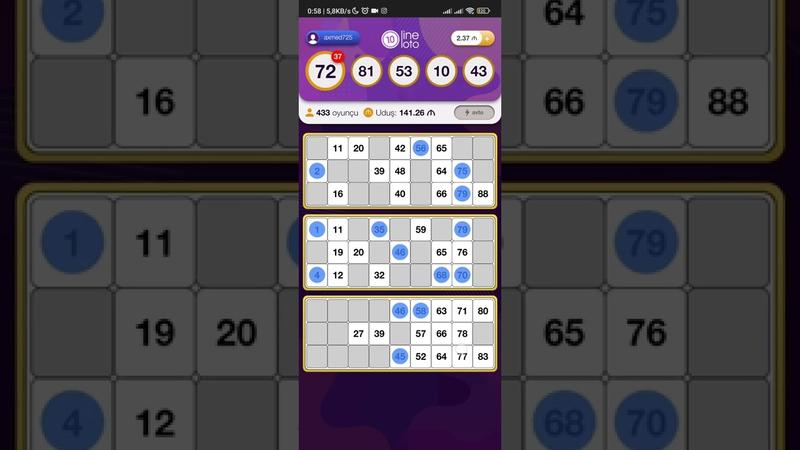 10 Line Loto APK