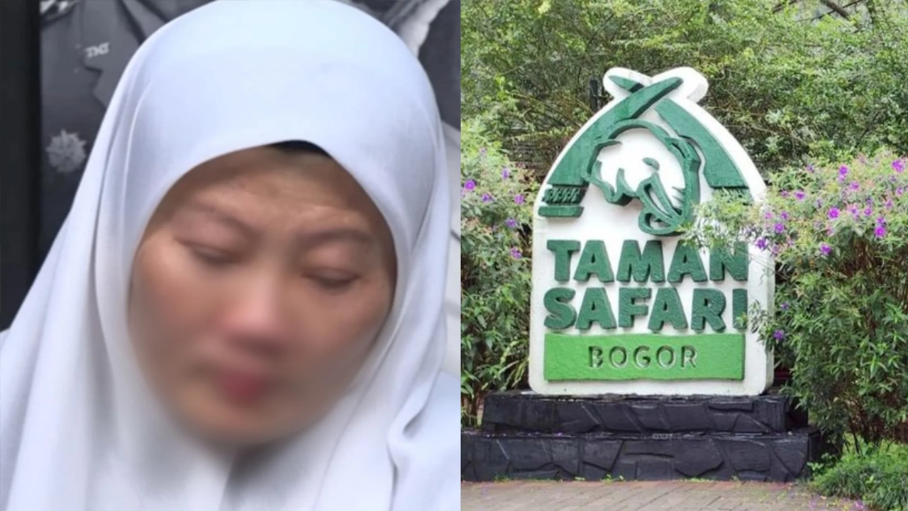 Fakta Mengerikan Terkait Kasus Eksploitasi Pekerja Taman Safari